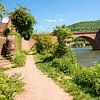 vieux pont historique à Heidelberg. Vue depuis les rives du Neckar sur SusaZoom