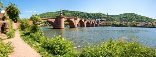 historische oude brug in Heidelberg. Uitzicht vanaf de oevers van de Neckar