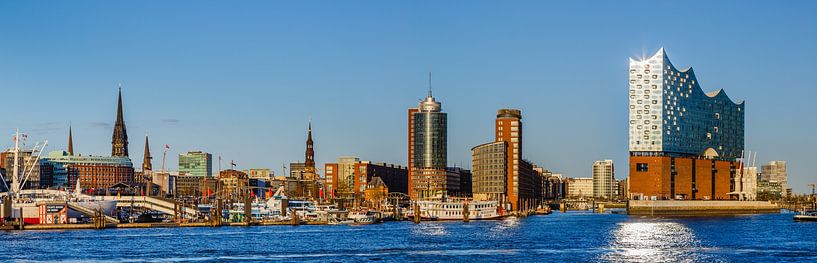 Hamburg panorama with Elbphilharmonie by Ursula Reins