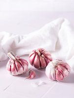Stilleben, Knoblauch Touch Of Pink