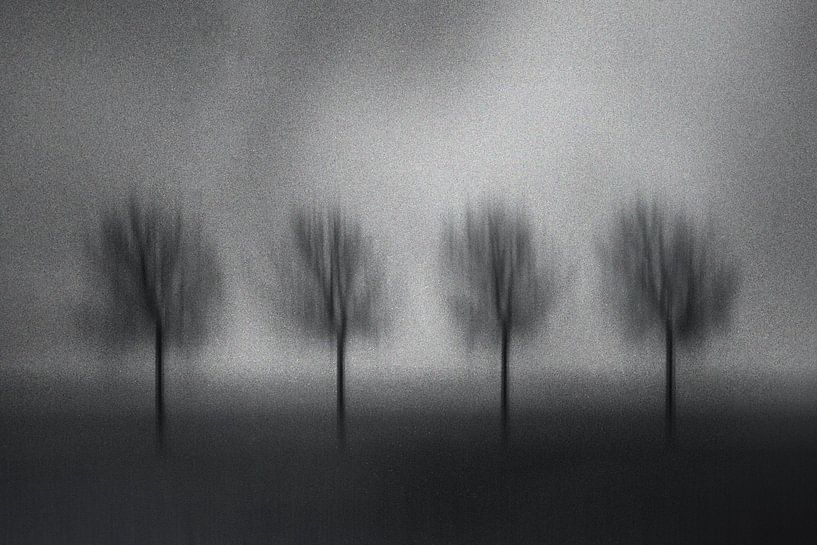 Bäume im Herbst von Bert Olivier