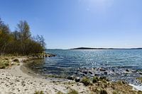 Am Ufer in der Goor, Insel Vilm, Lauterbach auf Rügen