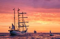 Sailing ship on the Baltic Sea by Rico Ködder thumbnail