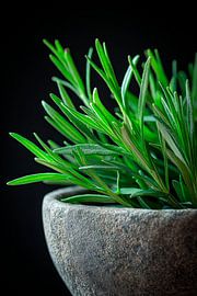 Kitchen herbs by Poster Art Shop