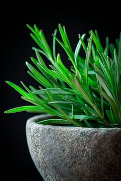 Küchenkräuter von Poster Art Shop