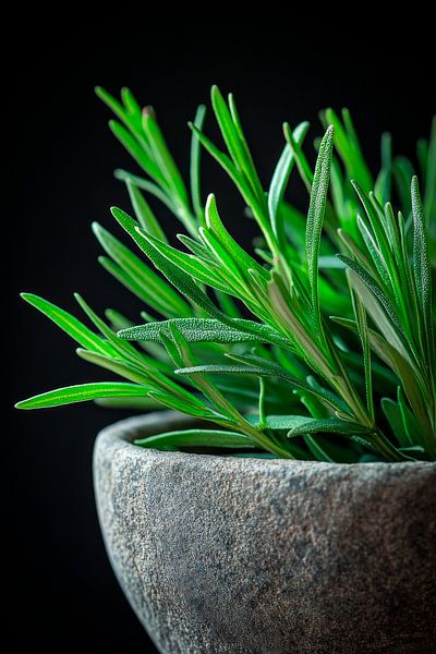 Küchenkräuter von Poster Art Shop