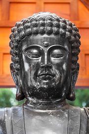 boeddha van Marcel Derweduwen