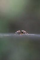 Drahtlos und trotzdem online