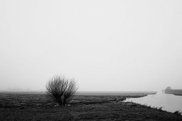 Zaanse landschap bij mist 3 van Robby the photographer