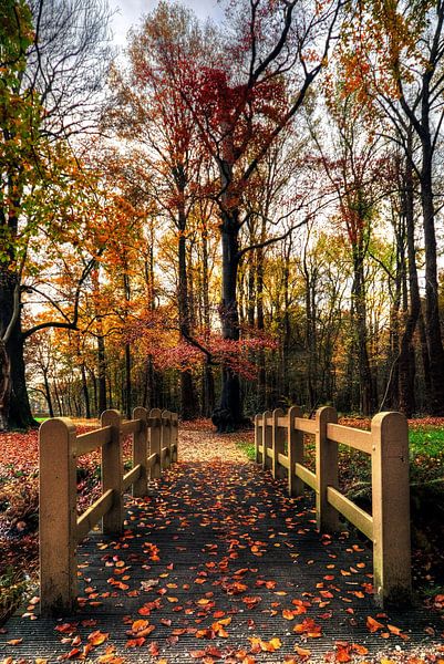 Autumn estate Groeneveld Baarn by Watze D. de Haan