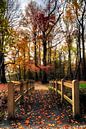 Autumn estate Groeneveld Baarn by Watze D. de Haan thumbnail