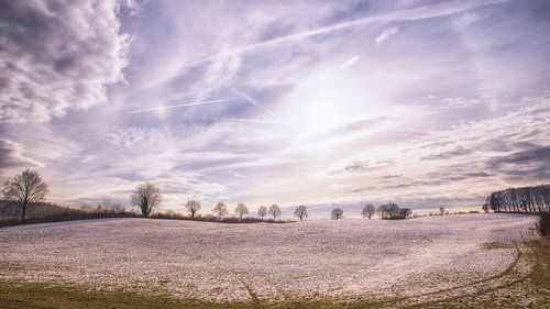 Remniscent of winter