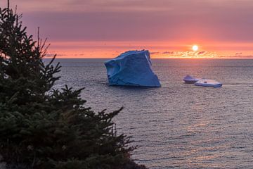 IJsberg voor de kust van Twillingate Newfoundland tijdens zonsondergang van Menno Schaefer