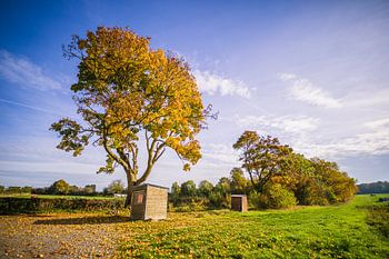 Warm afternoon by the roadside