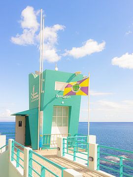 Basaito sur Michael Schulz-Dostal