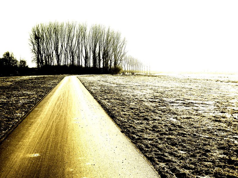 Follow... von ZEVNOV .