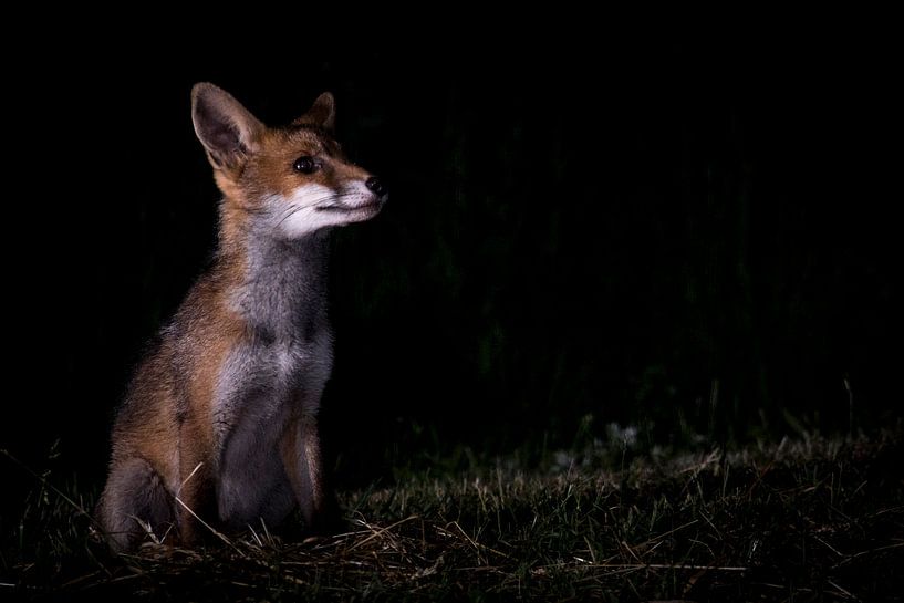Looking to the future, with confidence. by Guido Rooseleer