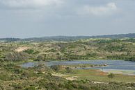 Landschap natuurgebied Zuid Kennemerland van Sander Jacobs thumbnail