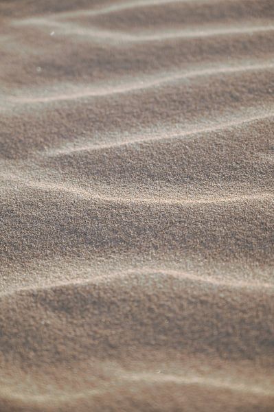 Modern abstract beige earth tones sand patterns, shabby chic nature photography. by Christa Stroo photography