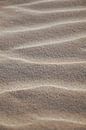 Modern abstract beige earth tones sand patterns, shabby chic nature photography. by Christa Stroo photography thumbnail