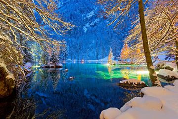 Blausee im Winter, Berner Oberland, Schweiz