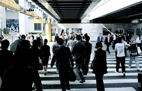 'Zebrapad', Tokyo- Japan