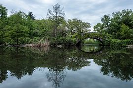 Central Park | New York City by Laura Maessen | ColorIsTheLimit Photography