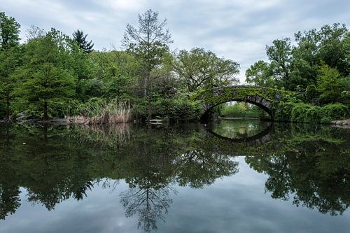 Central Park | New York City