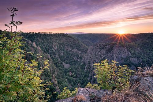 Relaxing at the Bode Valley