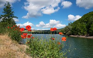 Diemelsee, Sauerland, Deutschland