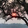 Zonsondergang in het Zambezi National Park van Eric Nagel