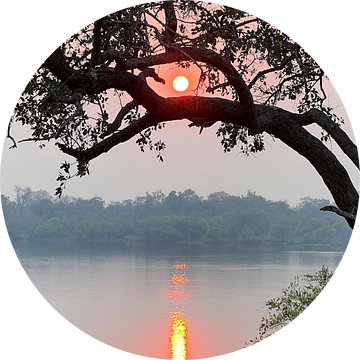 Zonsondergang in het Zambezi National Park