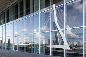 Spiegelung der Erasmus-Brücke