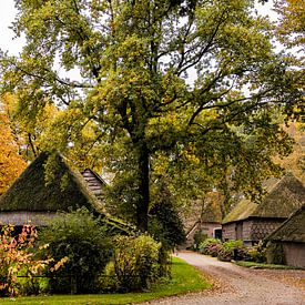 Herfst in Drenthe Autumn in the Netherlands van daan meeusen