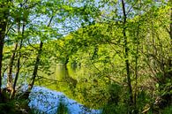 Lac Hertha, parc national de Jasmund, île de Rügen par GH Foto & Artdesign Aperçu