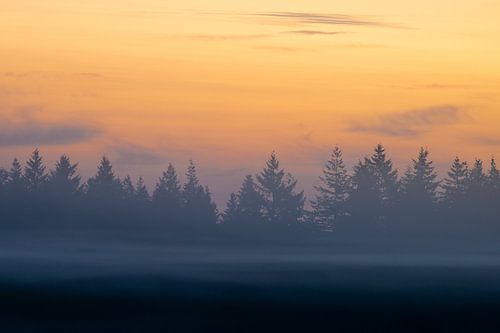 Zonsopgang boven een bos op de Veluwe