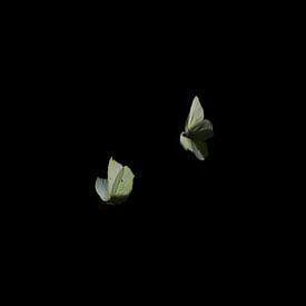 tanzende Schmetterlinge ist Frühling von Bas van Mook