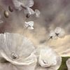 Flüchtig von Annette Schmucker
