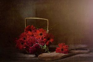 Stilleben mit roten Blumen von Saskia Dingemans Awarded Photographer