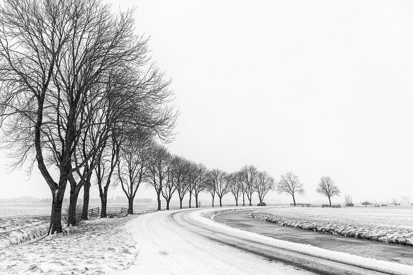 Baumreihe in winterlicher Polderlandschaft von Beeldbank Alblasserwaard