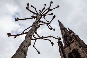 arbre et tour d'église à Londres