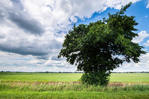Landschaften und Wolkenlandschaften über Drente