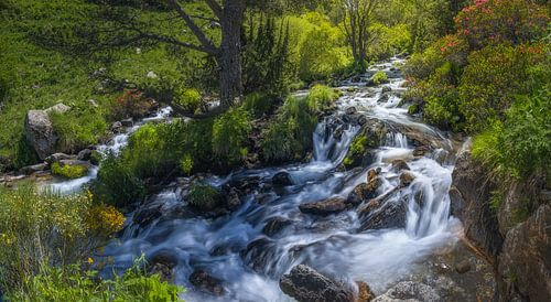 Paysage de montagne et de rivière dans la vallée d'Eyne, dans les Pyrénées françaises