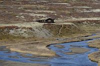 Noors berglandschap met boerderij