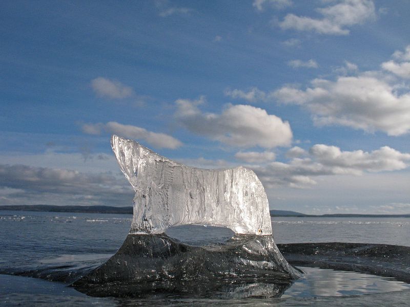 IJsbeer in Zweden, IJssculptuur van Kas Maessen
