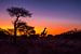 De zon gaat onder in de Kalahari woestijn, met silhouet van giraffes van Rietje Bulthuis