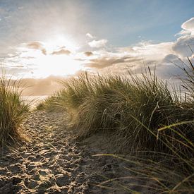 Zeeland - The dunes of Westerschouwen by Mascha Boot