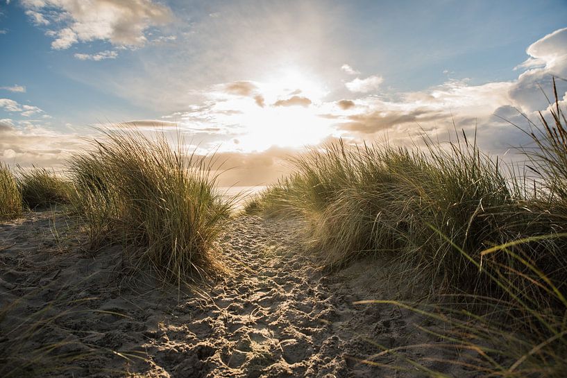 Zeeland - The dunes of Westerschouwen by Mascha Boot