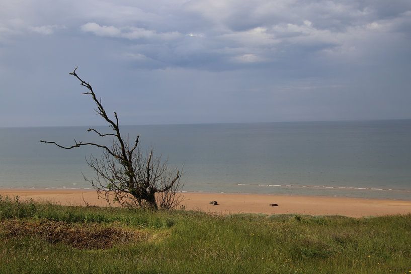 Omaha Beach Normandie van matthijs iseger