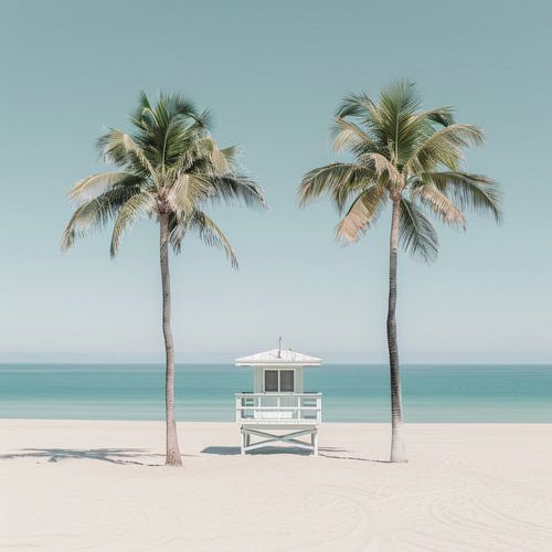 Palm trees on the beach